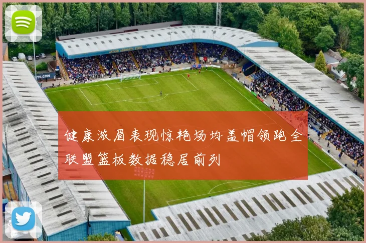 健康浓眉表现惊艳场均盖帽领跑全联盟篮板数据稳居前列